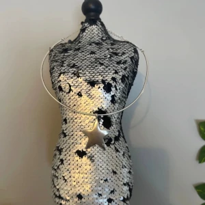 Silver halsband - Kommer inte till användning.