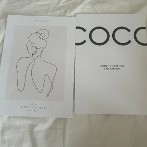 Tavlor🤍 - Ett par tavlor 60kr/st 100kr tillsammans. 