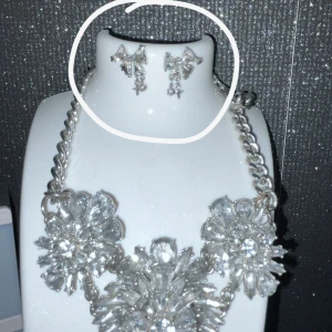 Örhängen silver - Säljer dessa superfina örhängen för att jag behöver pengar:)) kontakta för mera info💕