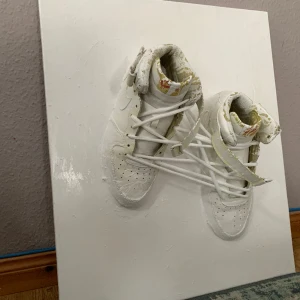 Af1 tavla - Tavla gjord av mig med ett par air force 1 som jag köpte i NYC 2010. 55x45 cm