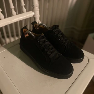 Christian Louboutin utan tagg 🩸 - Sköna Loubs utan tagg, skig bra skick 9,10.   Kommer med box och dustbag ✅. Jag tar imot byte också, på skor helst 38 - 39. Skorna är storlek 41 men passar 39❗️