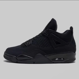 Jordan 4 black cat - Använda typ 2 gånger men annars Helt ny och rena det kommer med låda och tagg 