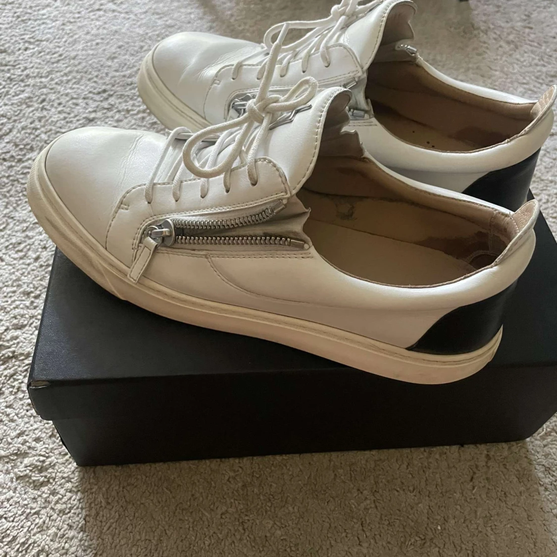 Giuseppe zanotti  - 91