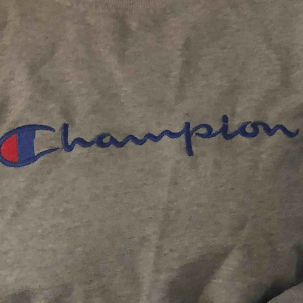 As cool Champion tröja Frakt står köparen för . Hoodies.