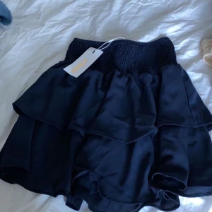 Kjol från nelly - Skit fin kjol från Nelly! Helt ny lappen kvar o aldrig använd, säljer pga att jag beställde två o tyckte den andra passa bättre på mig! Den är i stel 34 men passar också bra som 36! Möts helst upp i Stockholm men kan även frakta🥰👍🏽 buda!!