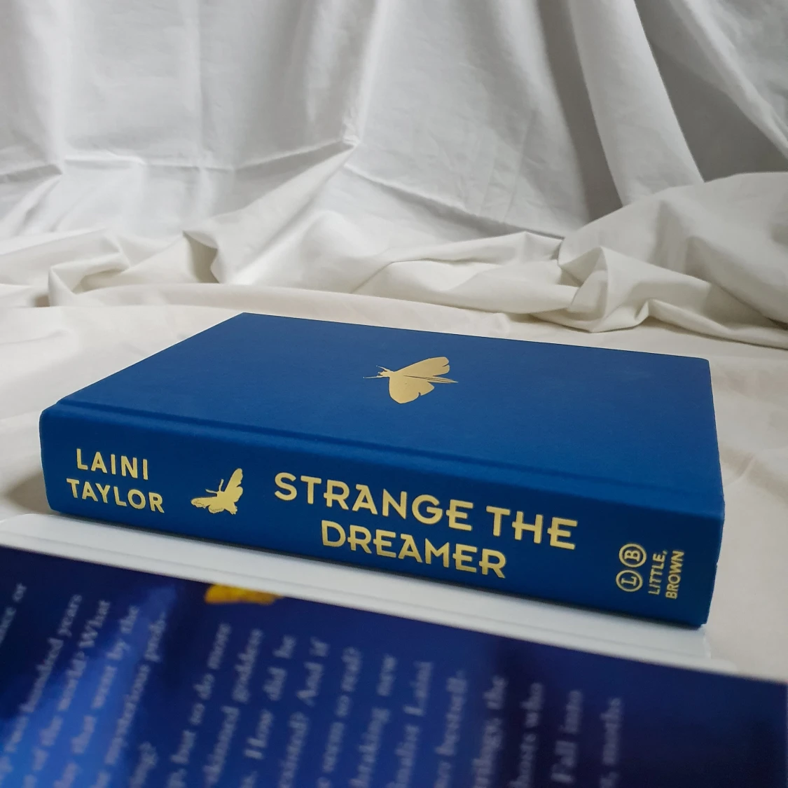 Strange the Dreamer av Laini Taylor - 90