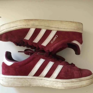  - Röda skitsnygga Adidas Campus i storlek 36. Mycket bra skick trots använda. Säljer pga att de är för små tyvärr. Betalning via swish. Kan mötas upp i trelleborg, malmö eller lund alternativt fraktas vilket köparen står för. 