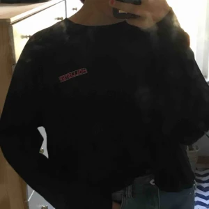  - En helt NY longsleve från hollister, jättefint skick. Säljer pga it min stil riktigt. Frakt tillkommer💗 