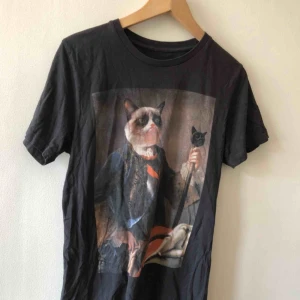  - Katt - Kan hämtas i Uppsala eller skickas mot fraktkostnad