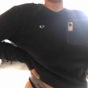  - Champion sweatshirt.