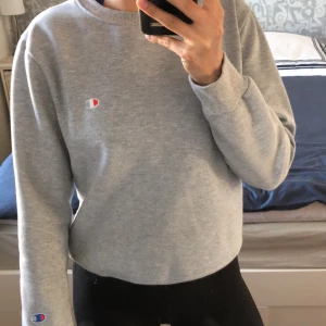 Champion tröja storlek xs/s - Säljer en Champion tröja som är i storleken small men passar även en xs. Frakt tillkommer