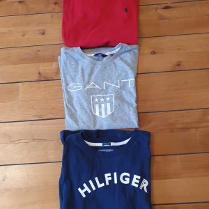 Märkeströjor - Alla tröjor är i fint skick och är storlek 152 cm! 50 kr styck för tshirts och 75 för den långärmade Ralph Lauren! Skriv till mig om ni undrar om mått för de passar nog XS i tjejstorlek!