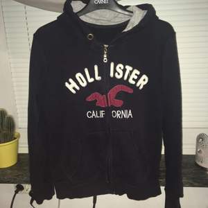 En tröja från Hollister. Använd men sparsam. 