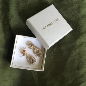 Lyxiga märkesörhängen - Vackra örhängen från LILY & ROSE i rose med vacker blå/grå sten. Ger en lyxig känsla och klär upp en vardaglig outfit. Mycket fint skick på örhängen och lite avskavt papper på undersidan av kartongen. Frakt tillkommer.