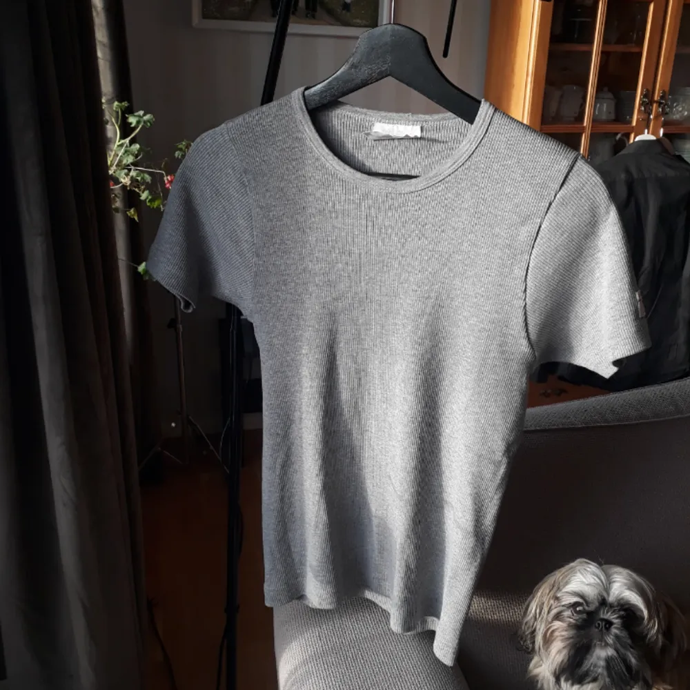 Vintage Levis t-shirt. Förmodligen från 80-90talet. Ribbad och stretchigt material.😋   Hund finns i hemmet . T-shirts.