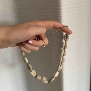  - Populärt chokerhalsband med snäckor från Monki🦋