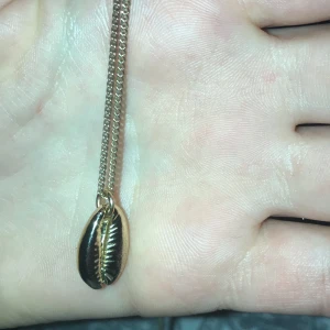 Guld halsband med snäcka  - Ett guld halsband med en guld snäcka🥰får ej användning men jätte fin🥰