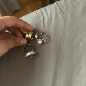 Ringar - 100 kr styxk