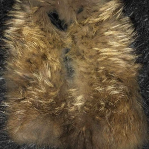  - Jätte fin päls från Hollies. Passar alltså alla Hollies jackor. Skickas mot frakt men kan även mötas upp i Göteborg. 