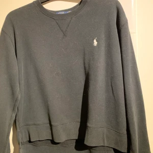 Sweatshirt från Ralph Lauren i Storlek M. - Skön sweatshirt från Ralph Lauren. Inte använt mycket så i bra skick. 174 inkluderad frakt. (Har katt därav hårig tröja men tar självklart bort innan jag skickar)