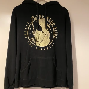 The World Alive hoodie - Merch från en konsert för nåt år sedan. Katt finns i hemmet
