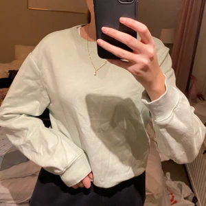 Ljusgrön sweatshirt - Jättefin ljusgrön sweatshirt från Hm, färgen är lite mörkare än på bilderna, bättre bilder finns vid intresse🥰 