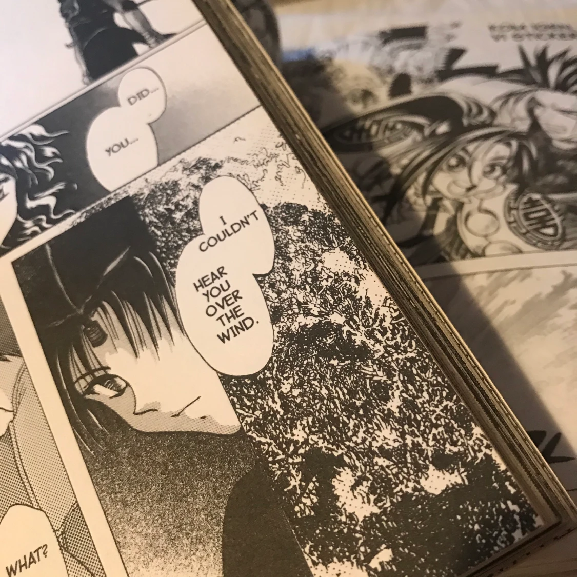 Manga (olika språk) - 90