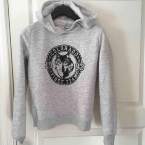  - En grå hoodie, men tryck på magen. Ganska tajt och använd ett antal gånger. Köparen betalar frakt