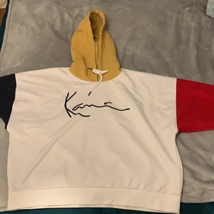 flerfärgad vintage hoddie - Detta är en frän oversized märkes-hoodie som är 90-tals inspirerad. Knappt använd och i bra skick, inga fläckar eller hål. 