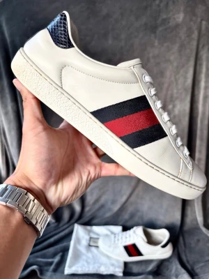 Gucci ace skor - Originalstorlek 7,5~42, fråga om innermått vid osäkerhet.