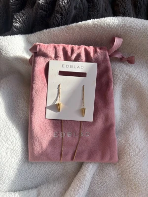 Edblad örhängen  - Guldiga peak chain örhängen från Edblad 