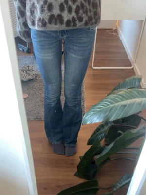Blå true religion lowwaist joey bootcut jeans  - Säljer ett par blå bootcut jeans från True Religion med låg midja och klassiska fem fickor. Jeansen har snygga slitningar och kontrastsömma. Materialet är stretchigt denim som sitter skönt. De är perfekta på mig som är 169cm. Säljer då de inte kommer till användning längre. Pris kan diskuteras!😊