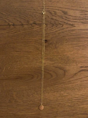 Guldigt halsband med rund berlock - Snyggt halsband i guldfärgad metall med en enkel, rund berlock. Kedjan är tunn och stilren, perfekt för dig som gillar minimalistiska smycken. Inget synligt märke på halsbandet.🥹🧸🩷
