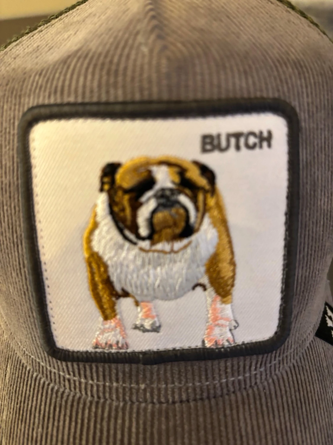 Grå keps med bulldogpatch Goorin Bros - 2