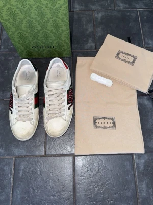 Gucci Ace Snake  - Säljer ett par vita Gucci Ace Snake perfekta nu till våren och sommaren som börjar närma sig självklart medföljer nya skosnören, om man skulle vilja fräscha upp de mer och man kan även rengöra de ganska enkelt med vatten och rengörings medel vid funderingar är det bara att skriva🌟🌟🌟