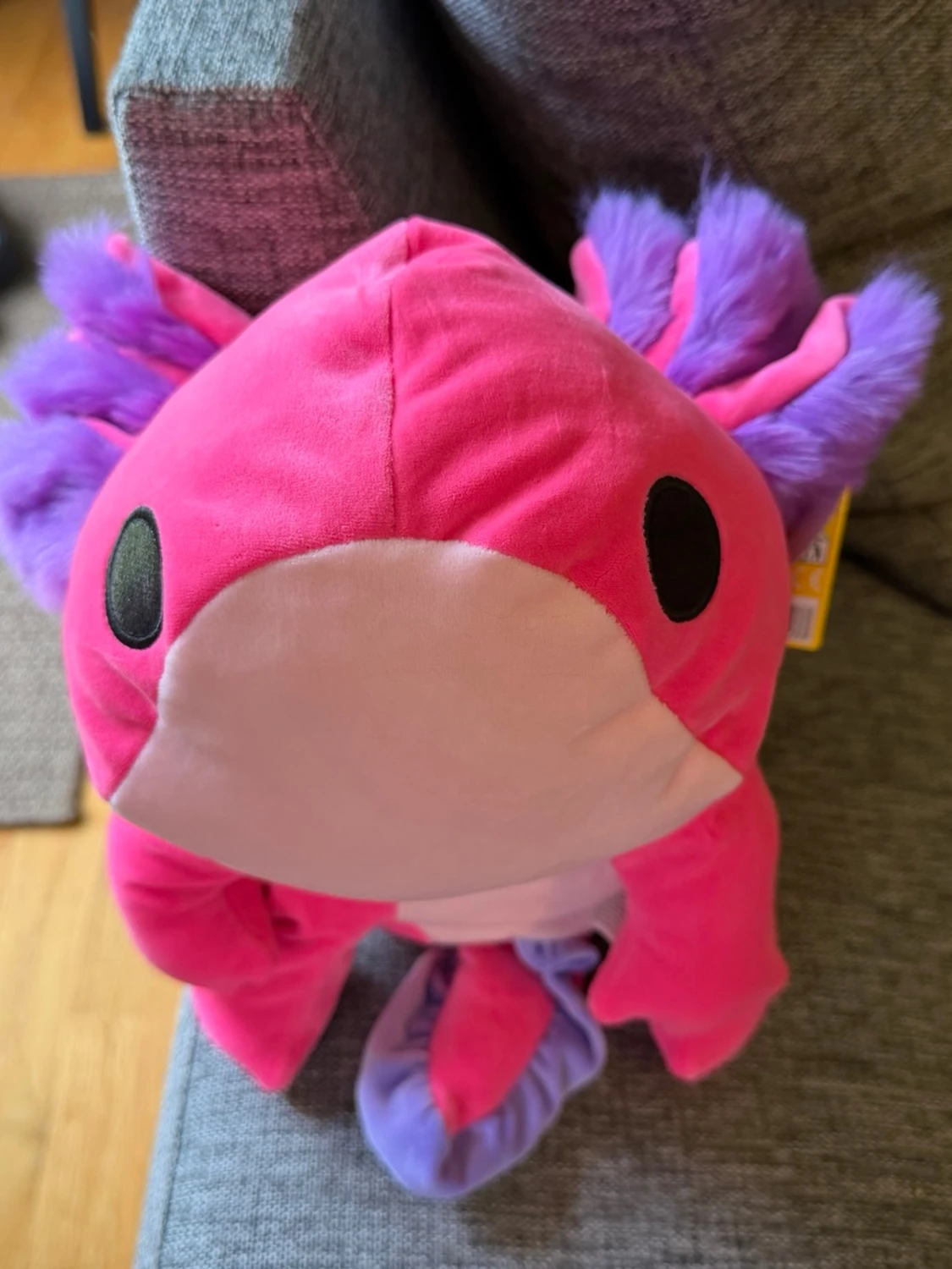 NY! Hug-a-Lumps gosedjur, Rosa Axolotl, 1.5 kg - 3