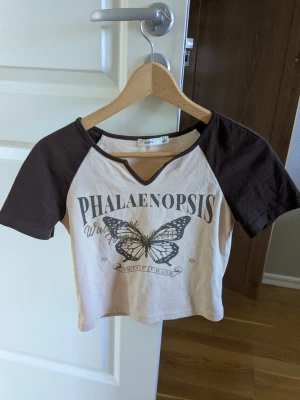 Beige och brun t-shirt med fjäril - Säljer en magtröja i beige med kontrasterande mörkbruna ärmar och tryck framtill. Stort fjärilsmotiv och texten 'PHALAENOPSIS' ger en cool vintagekänsla. Rund halsringning med brun kant. Perfekt för dig som gillar unika prints och avslappnad stil.