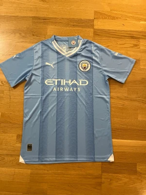 Manchester City matchtröja  - Säljer en ljusblå Manchester City matchtröja från Puma med klubbmärke och Etihad Airways-tryck på bröstet. Tröjan har korta ärmar, V-ringning och tunna mörkblå ränder framtill. Perfekt för fotbollsfans!   Fraktar samma eler dagen efter du köpt!!! Endast en kvar i lager!!!