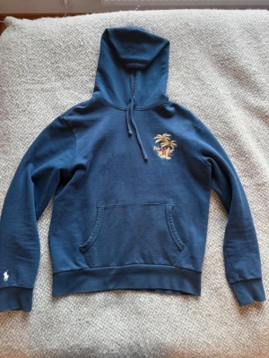 Ralph Lauren hoodie - Unik blå Ralph Lauren hoodie som är väldigt efterfrågad! Passar väldigt fint till vår/sommar nu🌼 Den är storlek M men fundera inte på att fråga!✅