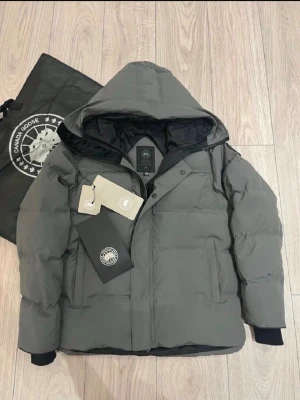Grå dunjacka med huva från Canada Goose - Säljer en grå dunjacka från Canada Goose med avtagbar huva och tillhörande äkta pälsdetalj. Jackan har två stora fickor framtill, diskret logotyp och robust dragkedja med knappar. Perfekt för kalla vinterdagar och riktigt snygg att bära.