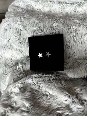 Silvriga stjärnörhängen från Edblad - Snygga örhängen i form av små stjärnor i silverfärgad metall. Perfekta för dig som gillar minimalistisk och trendig stil. 