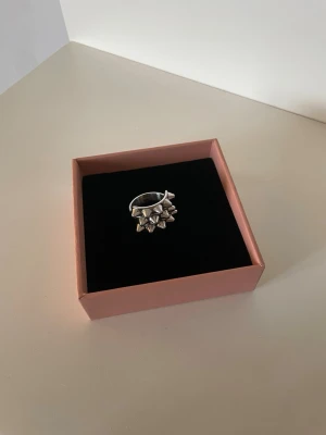 Edblad silver ring - Jättefin silvrig PEAK ring från Edblad med nitar. Storlek S (16.8mm).  Den är i rostfritt stål Fint skick (lite repig på undersidan men ingen man tänker på). 🩷🩷