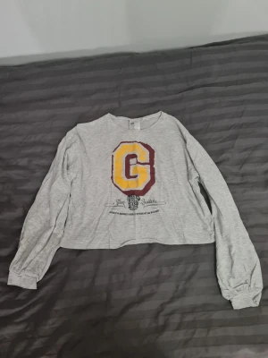 Grå Gryffindor pyjamas tröja H&M - Snygg grå långärmad crop tröja från H&M med stort Gryffindor-tryck fram och texten 'Gryffindor' i gult och vinrött på ryggen. Perfekt för Harry Potter-fans som vill ha en chill och unik stil. Tillverkad i mjukt bomullsmaterial.
