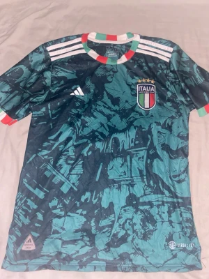 Italien matchtröja - En Italien matchtröja i färgen grön. Bra Skick och nytt pris ligger på 599kr