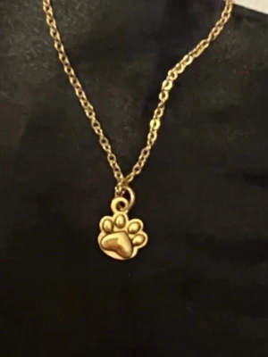 Tass halsband tassavtryck guld imitation  - Sött halsband med ett guldfärgat tassavtryck. Berlocken är ca 0,7 x 0,6 cm. Kedjan är i guldimitation och justerbar 40-45 cm.   