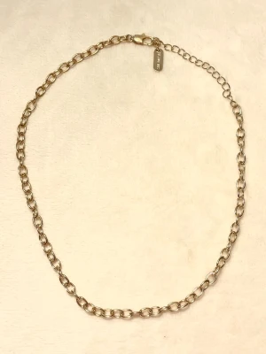 Guldfärgat halsband  - Kedjehalsband från märket SHE OH SHE, oklart material då det ej finns någon stämpel - förmodligen mässing 🤍 Halsbandet är ganska kort!!❣️Billigare vid snabb affär - skicka ett prisförslag! 