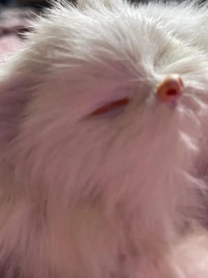 Vit fluffig prydnadskatt - Söt vit prydnadskatt med fluffig päls och stängda ögon. Katten är gjord av syntetmaterial och har en liten rosa nos. Perfekt som dekoration i sovrummet eller på skrivbordet.