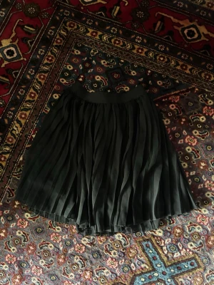 Svart plisserad kortkjol - Säljer en svart plisserad kortkjol med bred resår i midjan. Kjolen har ett snyggt fall och är gjord i ett lätt, skirt material som ger en luftig känsla. Perfekt att styla med en crop top eller stickad tröja. Nakd