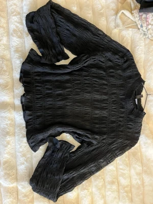 Svart transparent blus  - Trendig svart blus i transparent, lätt material med strukturerat rutmönster. Blusen har långa ärmar med volangdetaljer vid ärmslut och nederkant samt rundad halsringning.💓