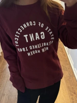 Sweatshirt  - Vinröd sweatshirt 🥰🥰storlek 176 i barn så jag skulle kalla den för en vuxen XS/S beroende på hur man vill att den ska sitta!! 